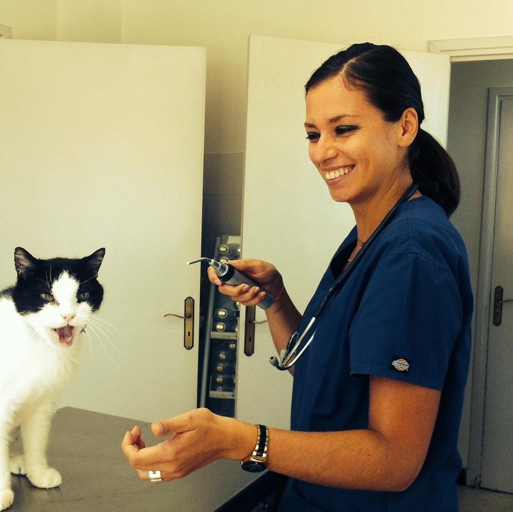 Agnès Dongay, docteur vétérinaire, Léguevin, Brax, Pujaudran