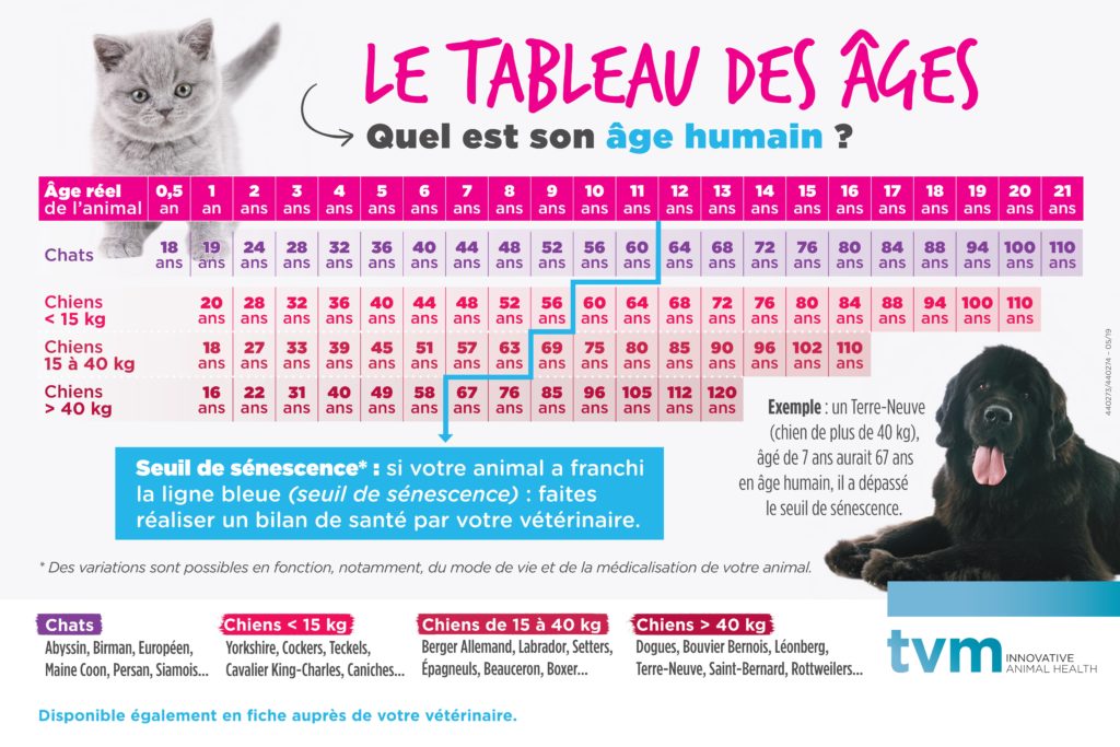 Tableau des âges pour chiens et chats disponible chez votre veterinaire à Leguevin