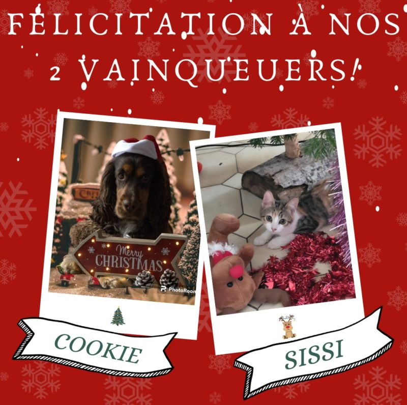 Gagnants du concours de Noël