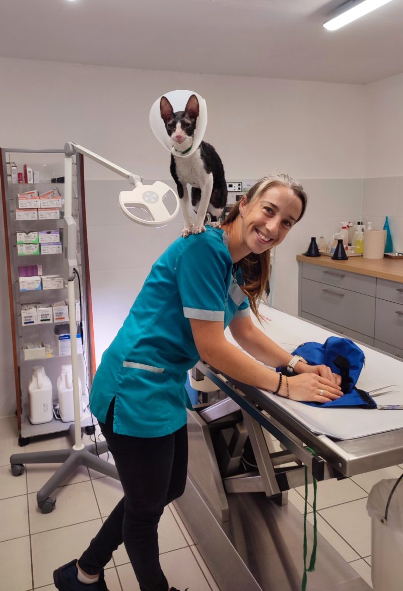 Vétérinaire pour chien et chats Léguevin