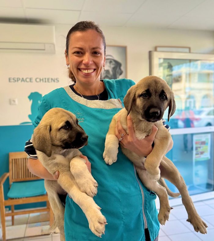 première visite pour ces adorables chiots
