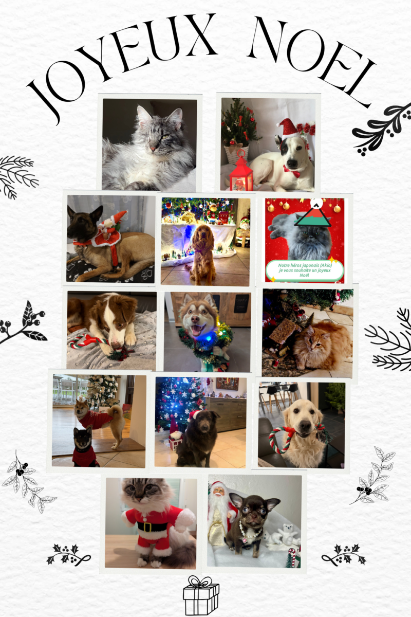 Participants léguevinois au concours de Noel